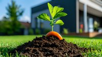 Young green plant sprouting from carrot in rich soil against lawn background, symbolizing growth, sustainability and organic gardening concepts.