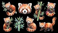 Red panda clipart set with bamboo leaves, isolated on transparent background. Perfect for t-shirt designs, stickers, print-on-demand products, sublimation, and digital crafts. Eight adorable poses ready for instant use.
