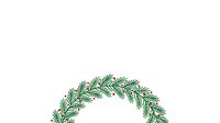 Evergreen wreath with fresh green pine branches arranged in circular shape, isolated on white background for holiday decorations, greeting cards, and seasonal design projects.