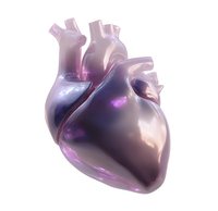 Anatomically accurate heart rendered in pearlescent pink and purple hues with glossy surface finish, isolated on white background for medical and design projects.