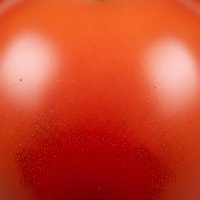 Fresh ripe red tomato skin macro with natural water droplets and glossy surface texture for healthy food and cooking concepts.