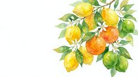 Watercolor citrus branch with lemons, oranges and limes, white flowers on transparent background. Fresh fruit botanical illustration for kitchen decor.