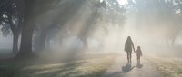 Mother and child walking hand in hand on misty morning path through park with dramatic sunbeams filtering through trees creating atmospheric outdoor scene.