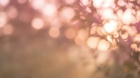 Soft pink bokeh lights creating dreamy blurred background with warm golden tones and gentle luminous circles for romantic designs and elegant presentations.
