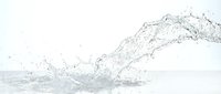 Dynamic water splash frozen in motion against white background, suitable for beverage, cosmetics, and wellness product marketing materials.