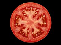 Fresh red tomato slice isolated on transparent background, showing seeds and inner texture. Ready for food design, stickers, print on demand, clipart, and T-shirt use.