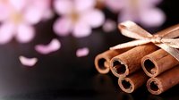 Aromatic cinnamon sticks tied with satin ribbon against dark background with soft pink cherry blossoms creating romantic spring atmosphere.
