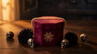 Dark red velvet round box with spider web emblem surrounded by black decorative skulls and pine cones on rustic wooden surface for Halloween decor.