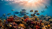 Underwater coral reef ecosystem with diverse tropical fish species swimming above colorful corals, sunlight filtering through ocean water, marine biodiversity and ocean conservation.