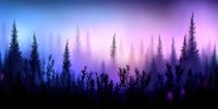 Mystical forest silhouette with purple and blue gradient sky at twilight. Coniferous trees and vegetation create atmospheric landscape for nature backgrounds.