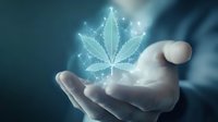 Glowing holographic cannabis leaf floating above open palm against dark background, depicting medical marijuana and future technology concept.