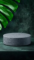 Round concrete podium with monstera leaf on dark green textured background. Modern minimal product display platform for cosmetic and luxury goods presentation.