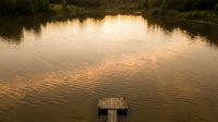 Serene lake at golden hour with wooden dock extending into calm water creating gentle ripples, surrounded by lush green vegetation and trees reflecting warm sunset light.