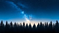 Silhouette of pine forest treeline against starry night sky with bright Milky Way galaxy and glowing horizon creating dramatic nature landscape.