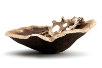 Dried mushroom cap with gills exposed showing natural organic texture and earthy brown tones on white background, isolated for food photography.