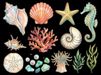 Watercolor ocean creatures and seashells collection isolated on transparent background, ready for t-shirt designs, clipart, stickers, sublimation and print-on-demand projects.