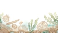 Marine border with seashells, starfish and seaweed on white background. Coastal frame design for summer projects and ocean-themed decorations.