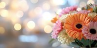 Fresh gerbera daisies in peach, pink and cream colors against soft bokeh background with copy space, creating romantic floral composition.