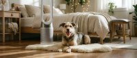 Happy dog relaxing on rug next to air purifier in cozy modern bedroom with warm lighting and comfortable furnishings for pet-friendly home comfort.