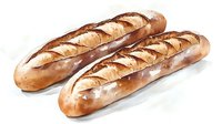 Fresh crusty baguettes with golden brown crust and distinctive scoring marks in watercolor style on white background, ready for design use.