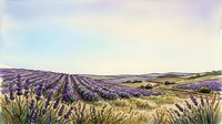 Lavender field landscape with rolling hills and golden wheat, ideal for travel, agriculture, and nature-themed designs.