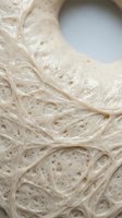 Macro close-up of sourdough bread crumb structure showing airy pores and gluten network detail. Use for baking, food science, artisan bread marketing, culinary education, and bakery content.