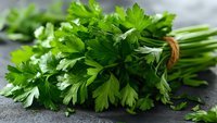 Fresh green parsley bunch tied with twine on dark stone background, macro view of aromatic culinary herb with detailed leaf texture and vibrant color.