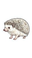 Adorable hedgehog with spiky quills isolated on white background, ready for design use on apparel, stickers, and children's illustrations.