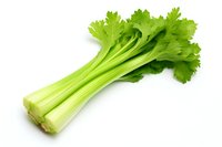 Fresh green celery stalks with leaves isolated on white background, raw organic vegetable produce for healthy eating and cooking.