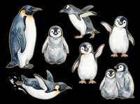 Penguin collection featuring adult emperor penguin, chicks, and swimming poses isolated on transparent background, ready for t-shirt designs, clipart, stickers, and print-on-demand products.