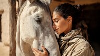 Young woman with dark hair in a bun sharing tender moment with white horse, touching foreheads in warm sunlight against rustic stable background.
