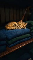 Tabby cat resting on stacked folded textiles in warm lighting, suitable for home decor, pet care, and lifestyle content.