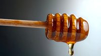 Golden honey dripping from wooden dipper stick against gradient background for culinary and natural food photography projects.