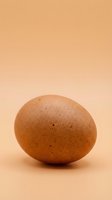 Fresh brown chicken egg with natural speckled shell texture on warm beige background for organic farm cooking and healthy nutrition concepts.