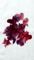 Abstract watercolor ink bleed in deep burgundy, wine, and rose tones creating organic flowing shapes on white background for artistic and creative projects.
