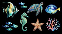 Colorful marine life collection featuring tropical fish, sea turtle, seahorse, starfish and coral isolated on transparent background. Ready for t-shirt design, clipart, stickers and print-on-demand projects.