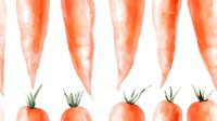 Fresh orange carrots with green tops arranged in seamless row pattern on white background, minimalist watercolor style artwork for kitchen decor and food packaging design.