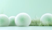 Soft white furry spheres and green grass tufts arranged in minimal composition against mint background, creating serene decorative arrangement.