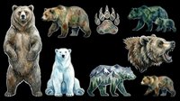 Bear clipart set with grizzly, polar bear, cubs, paw print, and mountain silhouette, isolated on transparent background, ready for stickers, t-shirt design, and print on demand.
