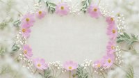 Delicate pink cosmos flowers and white baby's breath create romantic oval frame on soft textured background for wedding invitations and spring designs.