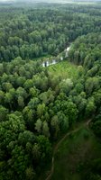 Aerial view of dense green forest with winding river cutting through lush woodland canopy. Natural landscape perfect for environmental and nature projects.