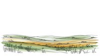 Rolling hills landscape with green meadows and golden fields in watercolor style for nature illustrations and countryside designs.