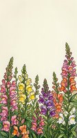 Watercolor snapdragon garden border with colorful pink, yellow, purple, orange, and white blooms on cream background with copy space.