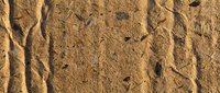 Textured brown sand surface with natural patterns and small debris scattered across rough granular terrain for backgrounds and design projects.