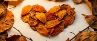 Heart shape made of vibrant orange and brown dried autumn leaves on white textured background, symbolizing fall love and nature.