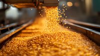 Falling golden corn grains in industrial processing facility, close-up view of grain pouring into storage container with dramatic lighting and bokeh effect.