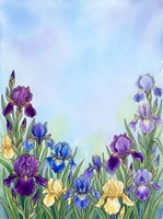 Watercolor illustration of blooming iris flowers in purple, blue, and yellow tones arranged along bottom border with soft pastel sky background, suitable for greeting cards, wallpapers, and floral design projects.