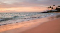 Serene tropical beach at sunset with golden light reflecting on wet sand, gentle waves, and palm trees silhouetted against warm sky. Ideal for travel and relaxation themes.