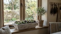 Wooden planter box with fresh herbs and succulents sits on sunny windowsill next to potted plant, creating a bright, natural indoor garden display for home decoration.