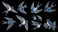 Watercolor swallows set with flying birds and branch perch, isolated on transparent background. Ready for t-shirt design, stickers, sublimation, clipart, and print on demand.